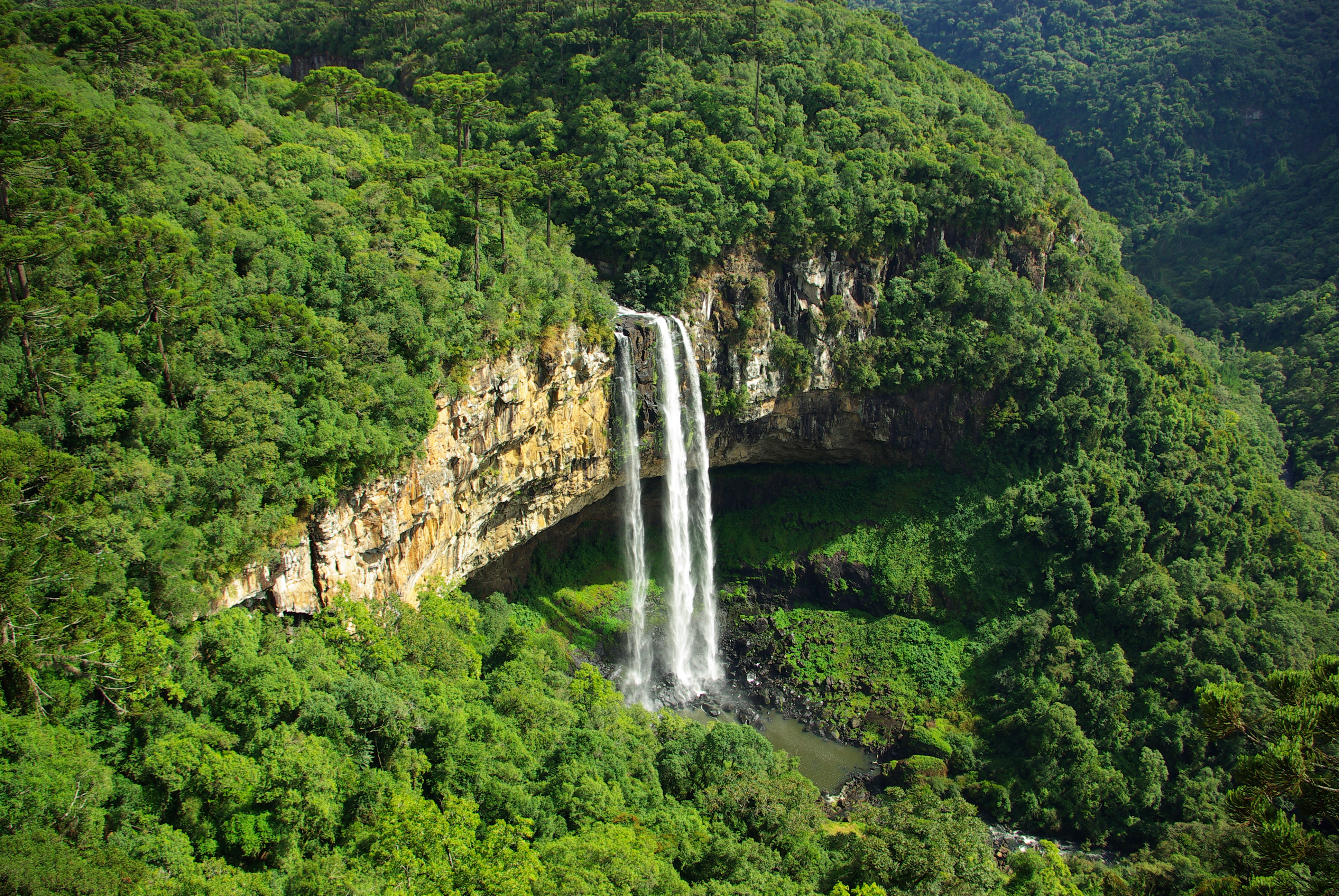  Where  find  a prostitutes in Rio do Sul (BR)