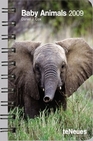 Libro :AGENDAS BABY ANIMALS 2009 de Cox, Daniel J.