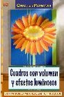 Libro :CUADROS CON VOLUMEN Y EFECTOS LUMINOSOS de Moras, Ingrid